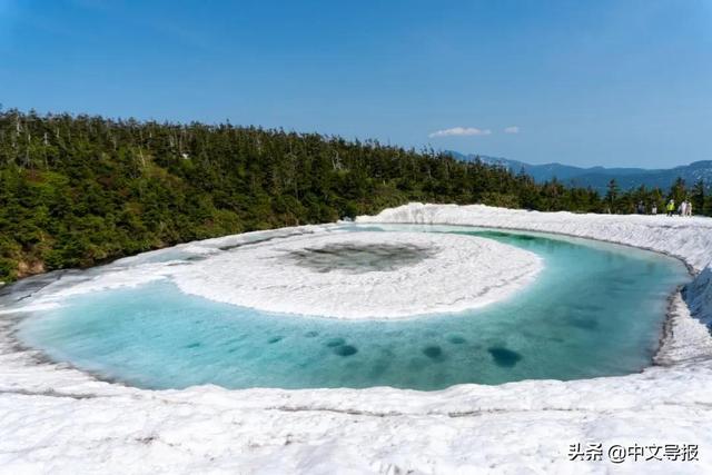 翡翠青龙眼手镯,a货翡翠手镯-第9张图片-翡翠网 翡翠青龙眼手镯,a货翡翠手镯-第9张图片-翡翠网