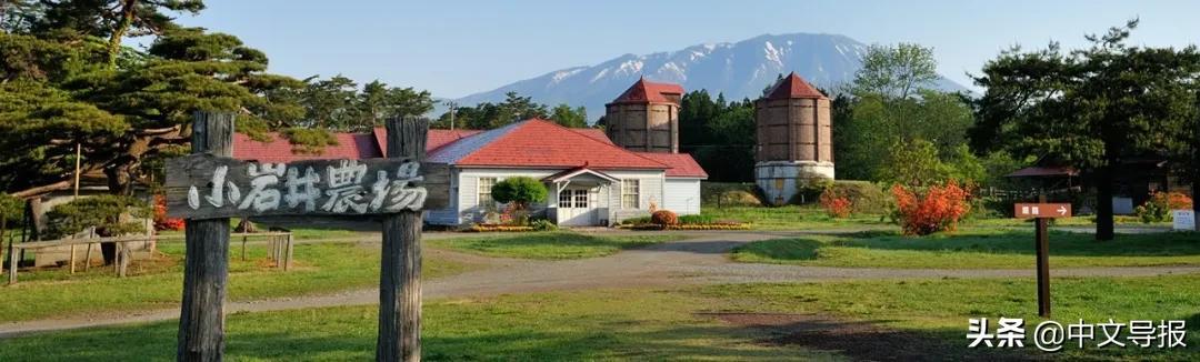 翡翠青龙眼手镯,a货翡翠手镯-第10张图片-翡翠网 翡翠青龙眼手镯,a货翡翠手镯-第10张图片-翡翠网