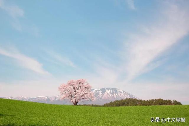 翡翠青龙眼手镯,a货翡翠手镯-第13张图片-翡翠网 翡翠青龙眼手镯,a货翡翠手镯-第13张图片-翡翠网