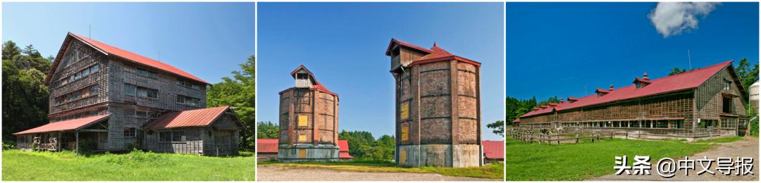 翡翠青龙眼手镯,a货翡翠手镯-第14张图片-翡翠网 翡翠青龙眼手镯,a货翡翠手镯-第14张图片-翡翠网