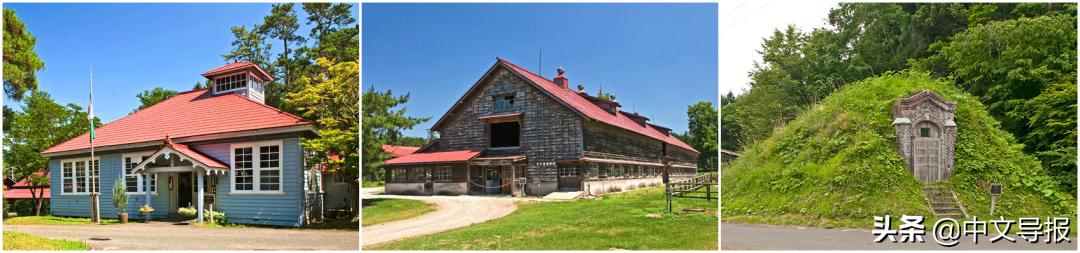 翡翠青龙眼手镯,a货翡翠手镯-第15张图片-翡翠网 翡翠青龙眼手镯,a货翡翠手镯-第15张图片-翡翠网