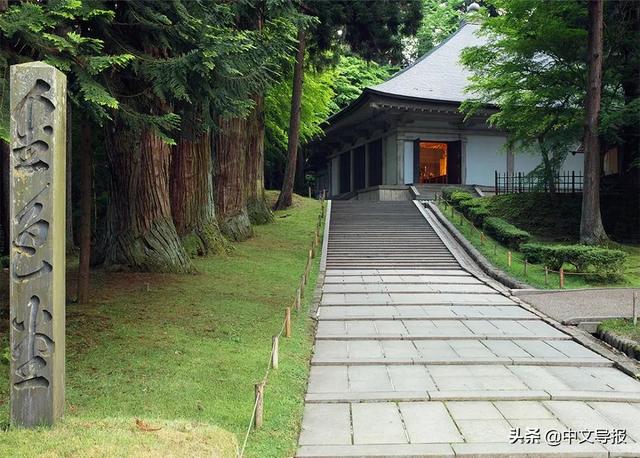 翡翠青龙眼手镯,a货翡翠手镯-第17张图片-翡翠网 翡翠青龙眼手镯,a货翡翠手镯-第17张图片-翡翠网