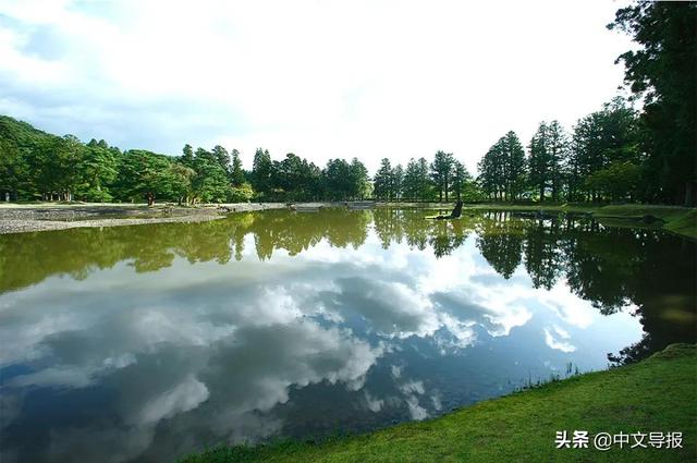 翡翠青龙眼手镯,a货翡翠手镯-第18张图片-翡翠网 翡翠青龙眼手镯,a货翡翠手镯-第18张图片-翡翠网