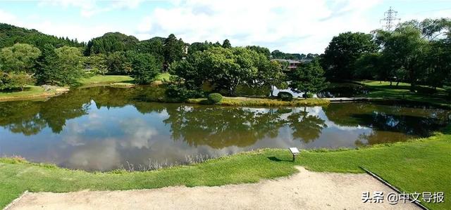 翡翠青龙眼手镯,a货翡翠手镯-第19张图片-翡翠网 翡翠青龙眼手镯,a货翡翠手镯-第19张图片-翡翠网