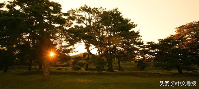 翡翠青龙眼手镯,a货翡翠手镯-第20张图片-翡翠网 翡翠青龙眼手镯,a货翡翠手镯-第20张图片-翡翠网