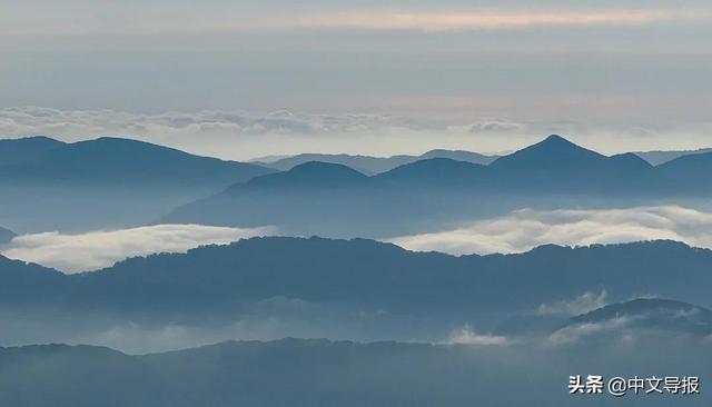 翡翠青龙眼手镯,a货翡翠手镯-第26张图片-翡翠网 翡翠青龙眼手镯,a货翡翠手镯-第26张图片-翡翠网