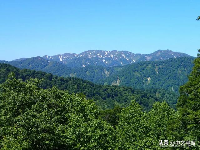 翡翠青龙眼手镯,a货翡翠手镯-第27张图片-翡翠网 翡翠青龙眼手镯,a货翡翠手镯-第27张图片-翡翠网