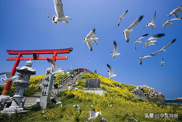 翡翠青龙眼手镯,a货翡翠手镯-第30张图片-翡翠网 翡翠青龙眼手镯,a货翡翠手镯-第30张图片-翡翠网