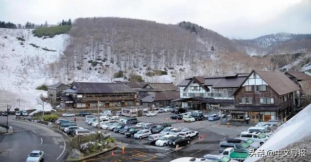 翡翠青龙眼手镯,a货翡翠手镯-第31张图片-翡翠网 翡翠青龙眼手镯,a货翡翠手镯-第31张图片-翡翠网