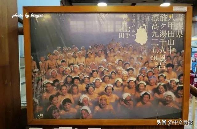 翡翠青龙眼手镯,a货翡翠手镯-第33张图片-翡翠网 翡翠青龙眼手镯,a货翡翠手镯-第33张图片-翡翠网