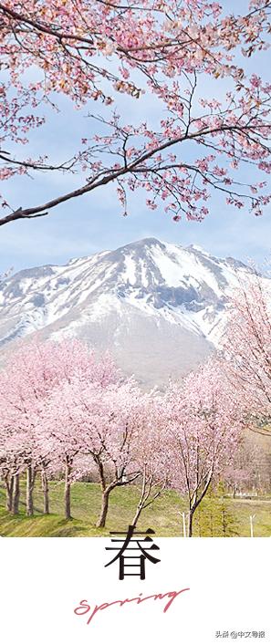 翡翠青龙眼手镯,a货翡翠手镯-第34张图片-翡翠网 翡翠青龙眼手镯,a货翡翠手镯-第34张图片-翡翠网