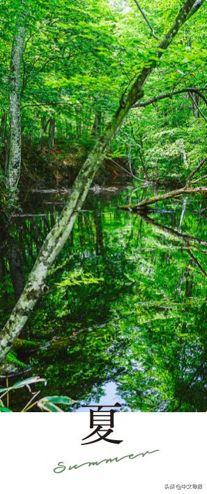 翡翠青龙眼手镯,a货翡翠手镯-第35张图片-翡翠网 翡翠青龙眼手镯,a货翡翠手镯-第35张图片-翡翠网