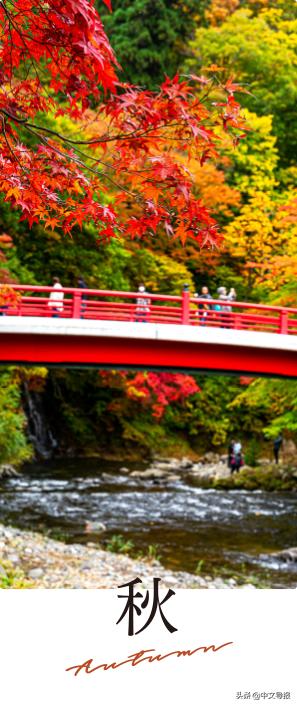 翡翠青龙眼手镯,a货翡翠手镯-第36张图片-翡翠网 翡翠青龙眼手镯,a货翡翠手镯-第36张图片-翡翠网