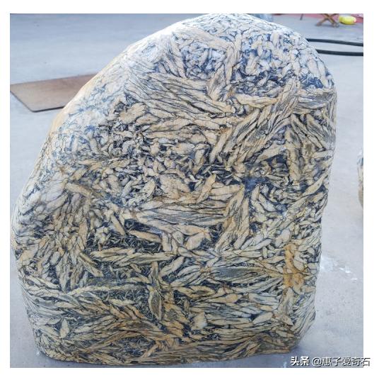 山东翡翠原石筋山东海边翡翠原石-第13张图片-翡翠网 山东翡翠原石筋山东海边翡翠原石-第13张图片-翡翠网