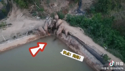 国际抖抈app免费下载,9|抖音短视频-第7张图片-翡翠网 国际抖抈app免费下载,9|抖音短视频-第7张图片-翡翠网