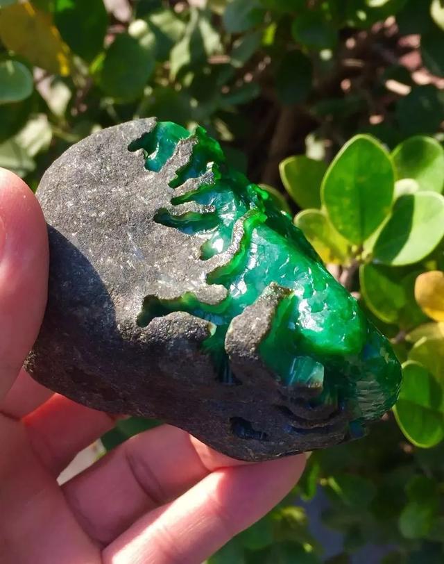 怎么选翡翠原石,40公斤莫湾基翡翠原石色料-第5张图片-翡翠网 怎么选翡翠原石,40公斤莫湾基翡翠原石色料-第5张图片-翡翠网