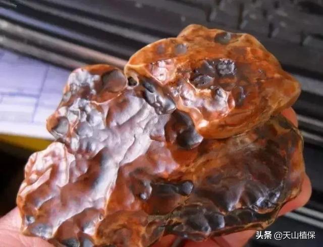 新疆翡翠原石昆明当地人去哪买翡翠-第5张图片-翡翠网 新疆翡翠原石昆明当地人去哪买翡翠-第5张图片-翡翠网