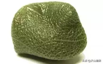 新疆翡翠原石昆明当地人去哪买翡翠-第8张图片-翡翠网 新疆翡翠原石昆明当地人去哪买翡翠-第8张图片-翡翠网