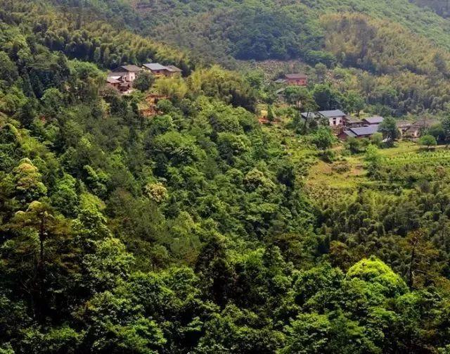 岳西明料翡翠原石翡翠原石小料怎么开料-第6张图片-翡翠网 岳西明料翡翠原石翡翠原石小料怎么开料-第6张图片-翡翠网