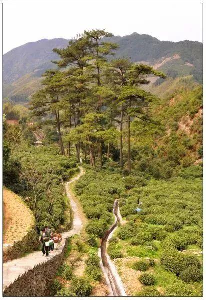 岳西明料翡翠原石翡翠原石小料怎么开料-第9张图片-翡翠网 岳西明料翡翠原石翡翠原石小料怎么开料-第9张图片-翡翠网