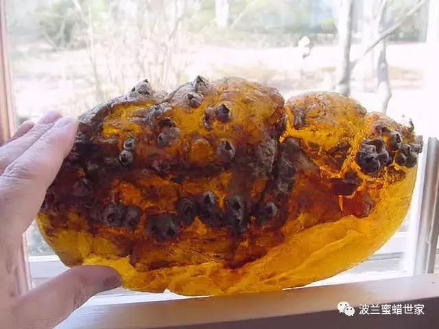 蜜蜡翡翠原石图片蜜蜡原石怎么打磨-第5张图片-翡翠网 蜜蜡翡翠原石图片蜜蜡原石怎么打磨-第5张图片-翡翠网