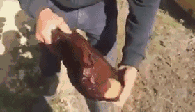 蜜蜡翡翠原石图片蜜蜡原石怎么打磨-第9张图片-翡翠网 蜜蜡翡翠原石图片蜜蜡原石怎么打磨-第9张图片-翡翠网