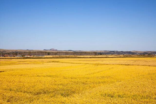 抖音火山极速版下载安装抖音极速版最新版-第8张图片-翡翠网 抖音火山极速版下载安装抖音极速版最新版-第8张图片-翡翠网