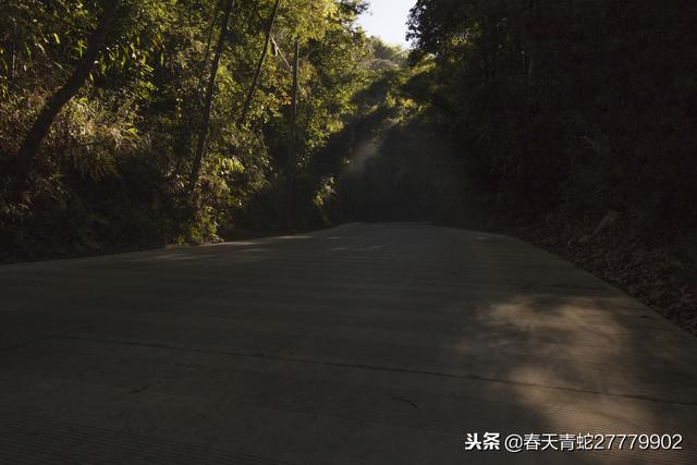 关于翡翠原石擦肩图片的信息-第31张图片-翡翠网