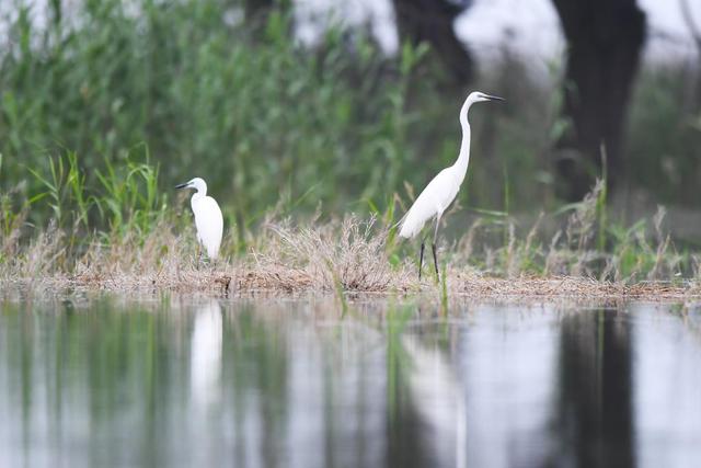 抖抈app下载国际版,抖音国际版污的破解版-第1张图片-翡翠网 抖抈app下载国际版,抖音国际版污的破解版-第1张图片-翡翠网
