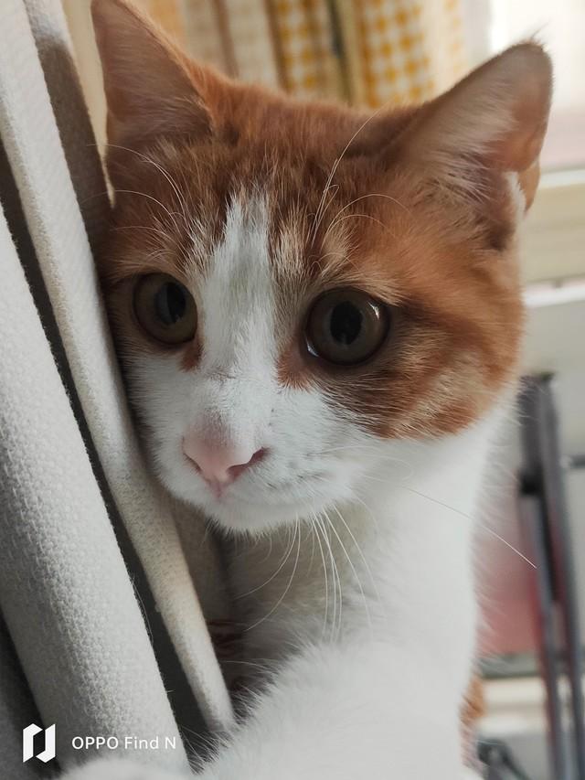 抖音全屏观看设置oppo手机抖音怎么放大-第16张图片-翡翠网 抖音全屏观看设置oppo手机抖音怎么放大-第16张图片-翡翠网