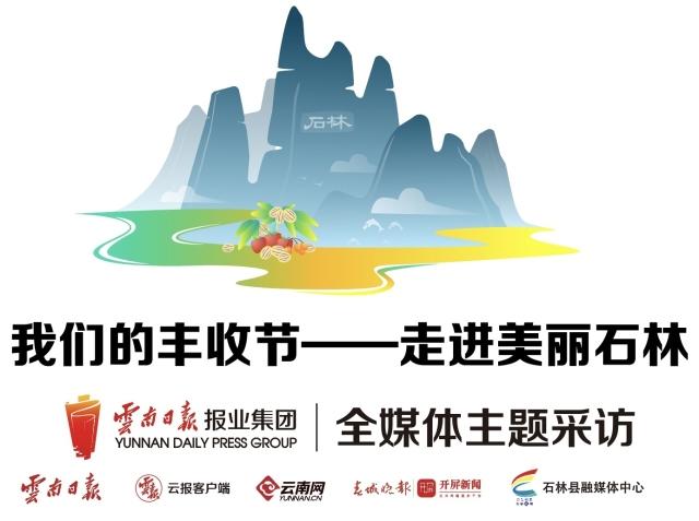 翡翠原石加工图片,文山原石翡翠定制-第1张图片-翡翠网 翡翠原石加工图片,文山原石翡翠定制-第1张图片-翡翠网