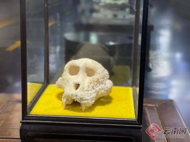 翡翠原石加工图片,文山原石翡翠定制-第5张图片-翡翠网 翡翠原石加工图片,文山原石翡翠定制-第5张图片-翡翠网