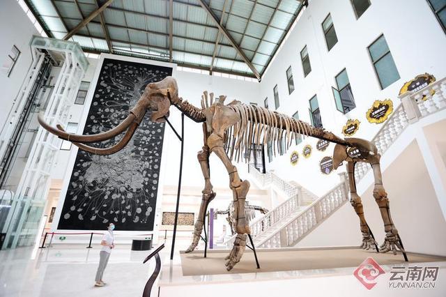 翡翠原石加工图片,文山原石翡翠定制-第10张图片-翡翠网 翡翠原石加工图片,文山原石翡翠定制-第10张图片-翡翠网