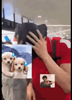 抖音免费下载2021,下载2021年最新款抖音-第17张图片-翡翠网 抖音免费下载2021,下载2021年最新款抖音-第17张图片-翡翠网