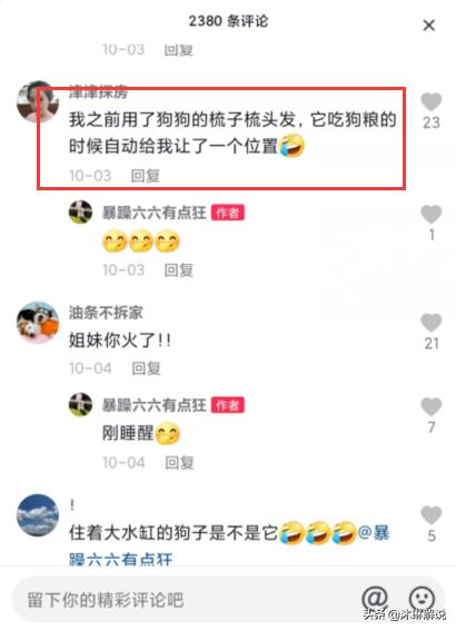 抖音狗子与我,抖音张悦狗子与我事件-第3张图片-翡翠网 抖音狗子与我,抖音张悦狗子与我事件-第3张图片-翡翠网