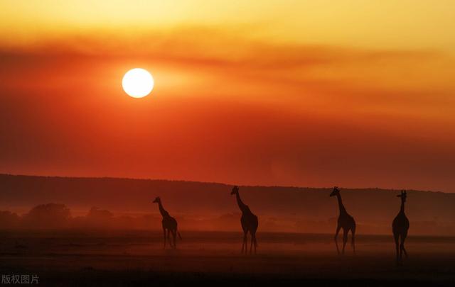 抖音热门文案,简单干净的文案-第1张图片-翡翠网 抖音热门文案,简单干净的文案-第1张图片-翡翠网