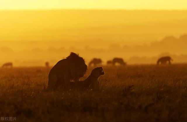 抖音热门文案,简单干净的文案-第2张图片-翡翠网 抖音热门文案,简单干净的文案-第2张图片-翡翠网