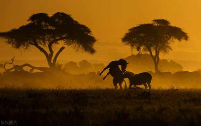 抖音热门文案,简单干净的文案-第3张图片-翡翠网 抖音热门文案,简单干净的文案-第3张图片-翡翠网