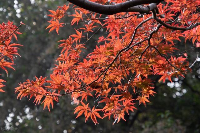 抖音热门文案,简单干净的文案-第8张图片-翡翠网 抖音热门文案,简单干净的文案-第8张图片-翡翠网