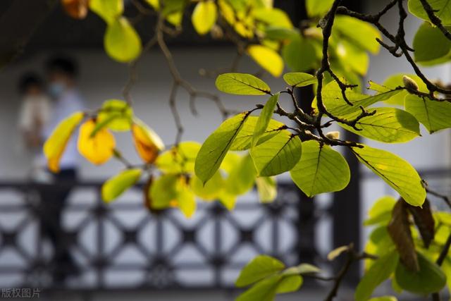 抖音热门文案,简单干净的文案-第9张图片-翡翠网 抖音热门文案,简单干净的文案-第9张图片-翡翠网