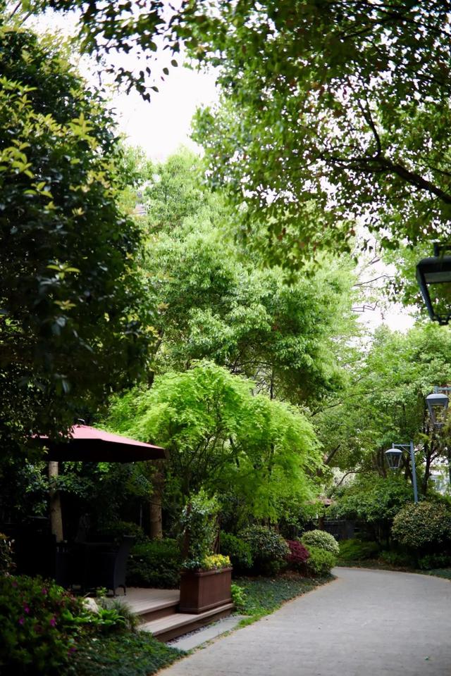 老同志翡翠香茶砖价格,06年老同志加嘉生茶砖-第3张图片-翡翠网 老同志翡翠香茶砖价格,06年老同志加嘉生茶砖-第3张图片-翡翠网