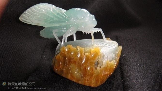 包含翡翠知了价格的词条-第1张图片-翡翠网 包含翡翠知了价格的词条-第1张图片-翡翠网