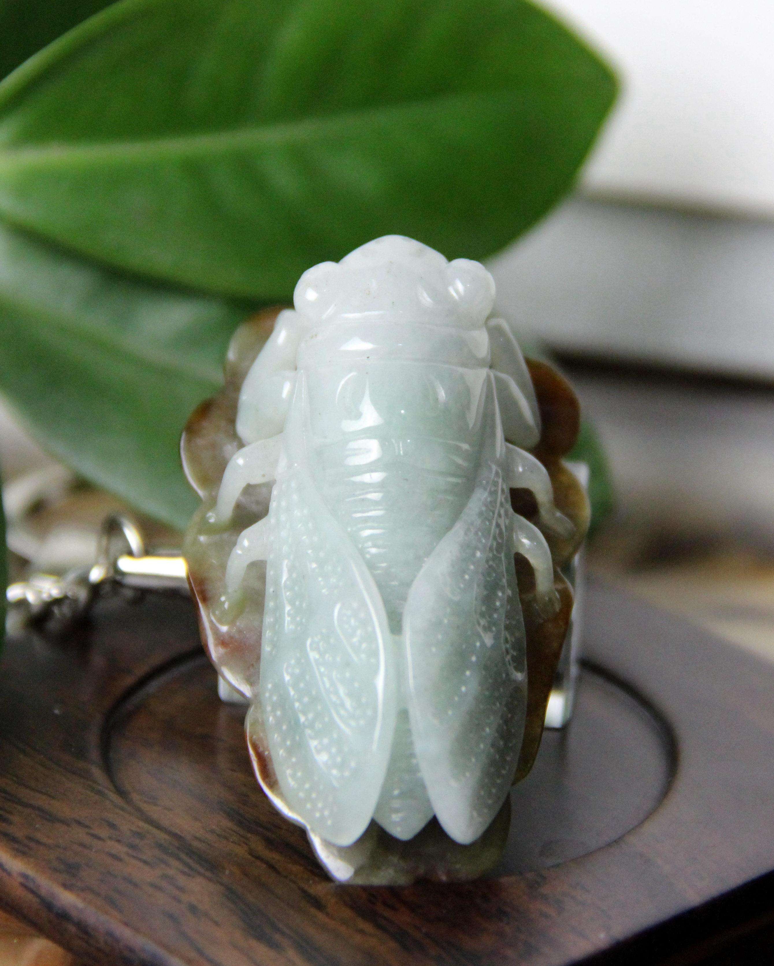 包含翡翠知了价格的词条-第2张图片-翡翠网 包含翡翠知了价格的词条-第2张图片-翡翠网