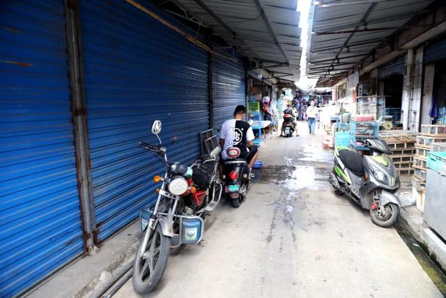 翡翠捷蜥价格,龙纹翡翠蜥饲养-第6张图片-翡翠网 翡翠捷蜥价格,龙纹翡翠蜥饲养-第6张图片-翡翠网