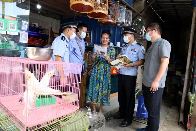 翡翠捷蜥价格,龙纹翡翠蜥饲养-第7张图片-翡翠网 翡翠捷蜥价格,龙纹翡翠蜥饲养-第7张图片-翡翠网