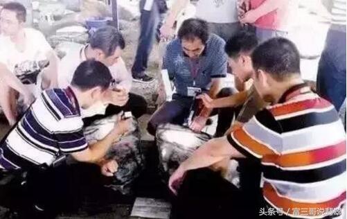 澳洲玉在澳洲哪买澳洲翡翠价格-第2张图片-翡翠网 澳洲玉在澳洲哪买澳洲翡翠价格-第2张图片-翡翠网