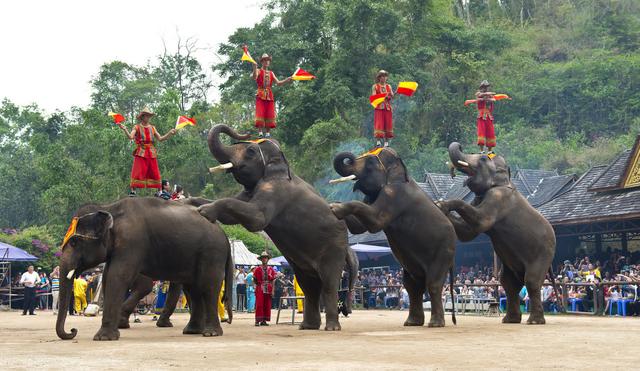 景兰翡翠手镯价格表翡翠手镯图片-第5张图片-翡翠网 景兰翡翠手镯价格表翡翠手镯图片-第5张图片-翡翠网