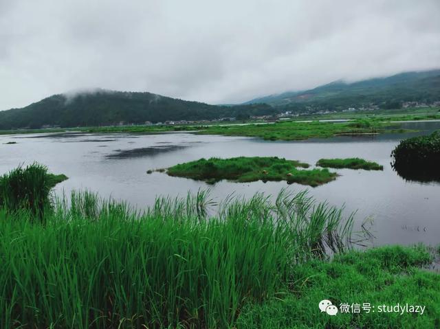 武隆玉石翡翠原石的简单介绍-第2张图片-翡翠网 武隆玉石翡翠原石的简单介绍-第2张图片-翡翠网