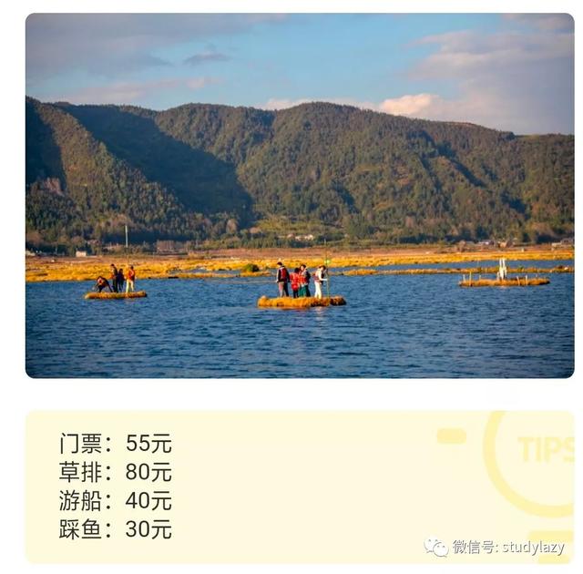 武隆玉石翡翠原石的简单介绍-第4张图片-翡翠网 武隆玉石翡翠原石的简单介绍-第4张图片-翡翠网