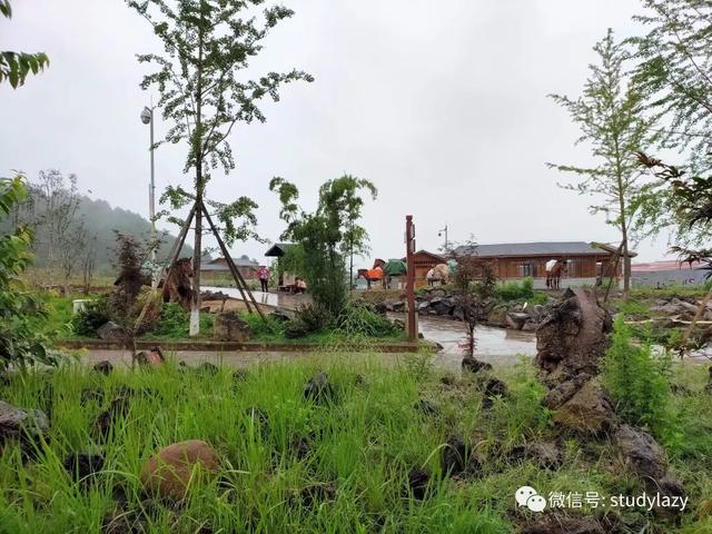 武隆玉石翡翠原石的简单介绍-第13张图片-翡翠网 武隆玉石翡翠原石的简单介绍-第13张图片-翡翠网